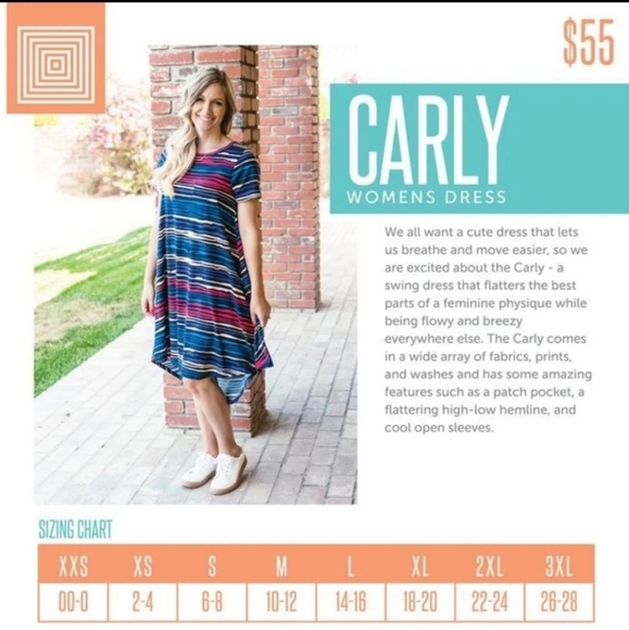 LuLaRoe Floral Rose Carly Dress - Picture 7 of 7